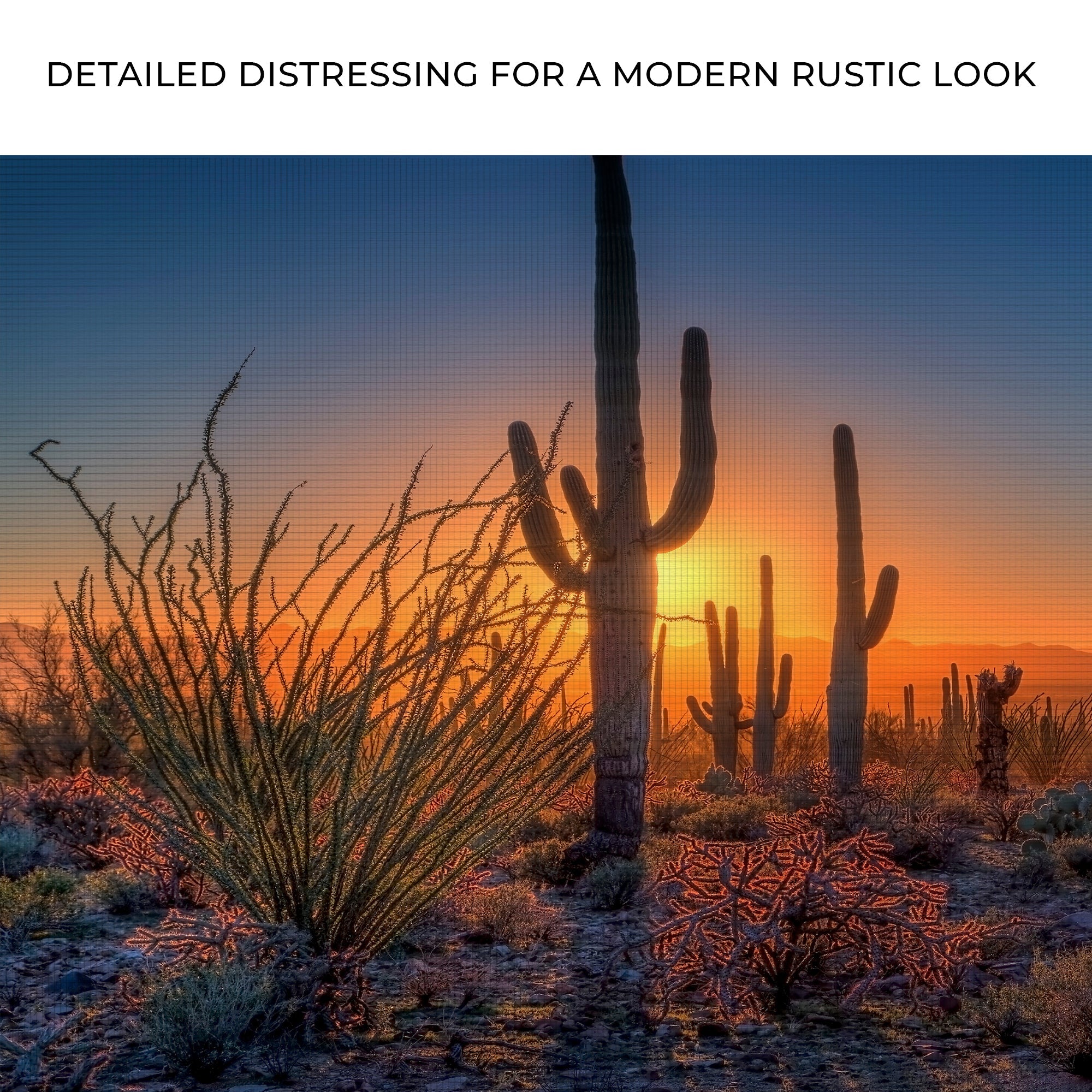 Desert Dusk Canvas Wall Art